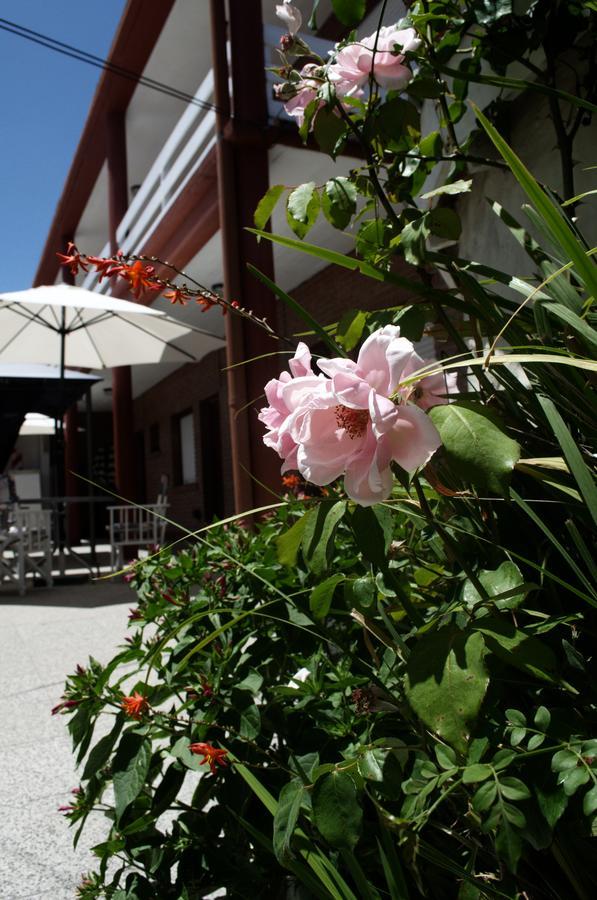 Hosteria Robert Вила Гесел Екстериор снимка